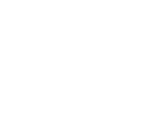 Crawler Excavator